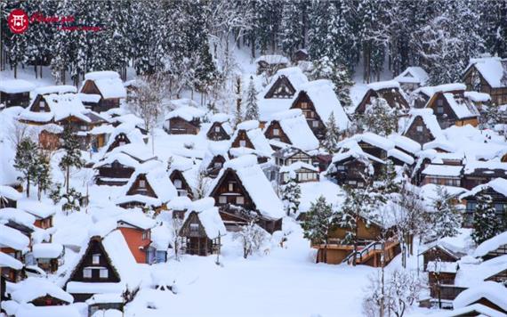 Tour Nhật Bản Đón Tết Nguyên Đán 2027 Ở Shirakawago